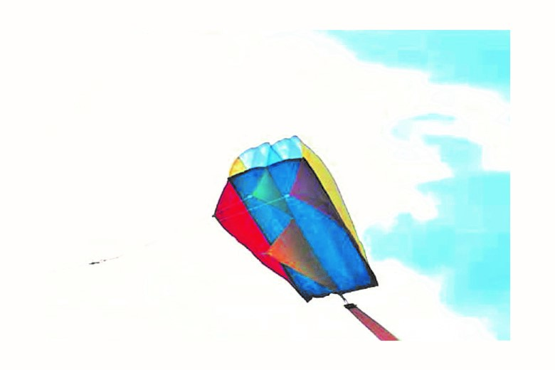 PREMIER KITES パラフォイル2