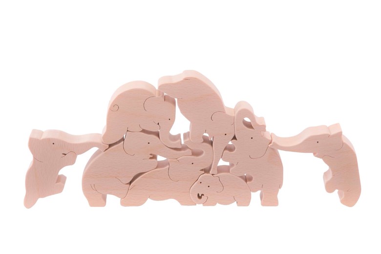 ゾウのサーカス